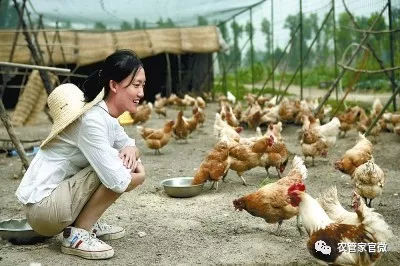 乡村振兴 文化经纪人——连接传统与现代的关键纽带